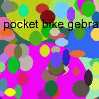 pocket bike gebraucht